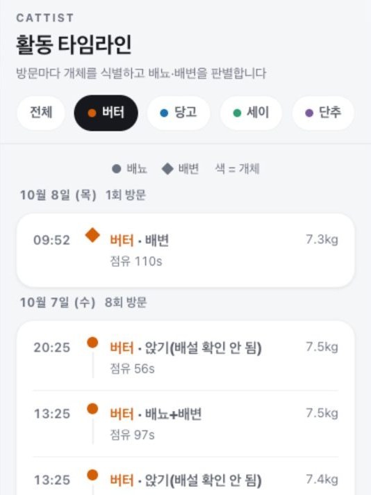앱 화면: 활동 타임라인